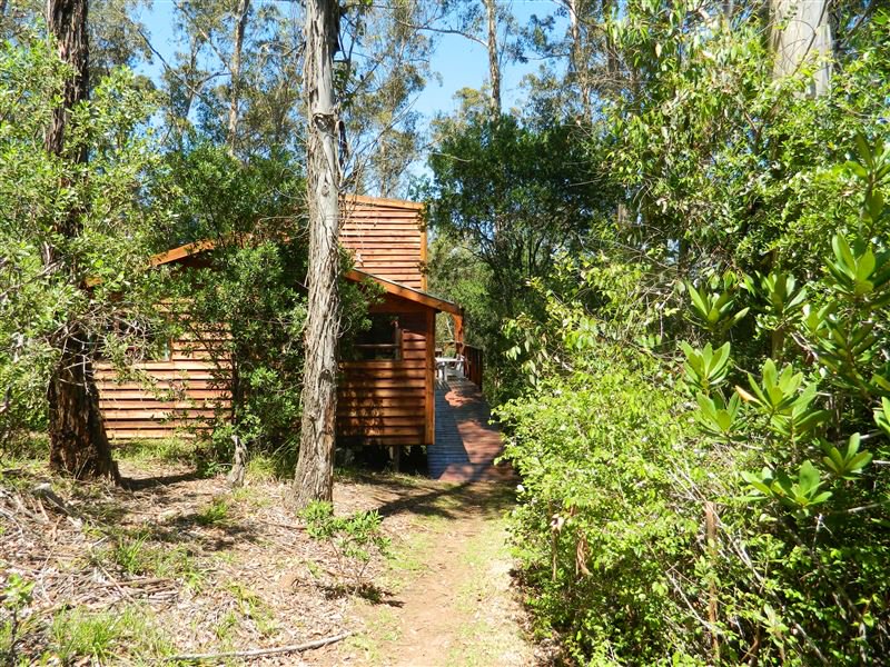 Apex Travel Club - ATC - Fern Gully Forest Cabins