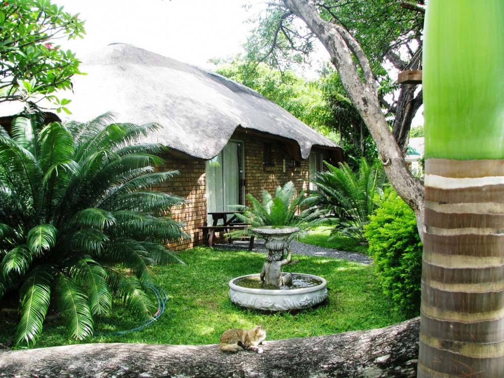 Apex Travel Club - ATC - Mufasa Lodge
