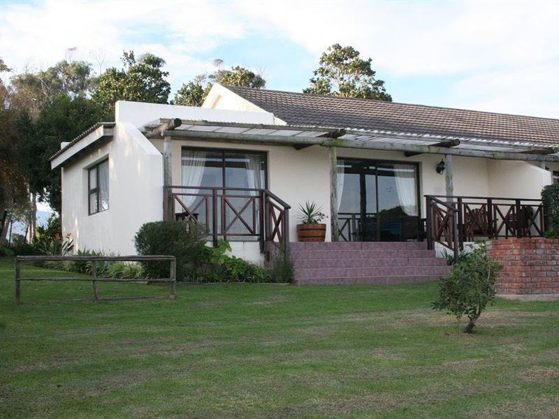 Apex Travel Club - ATC - Dolphin View