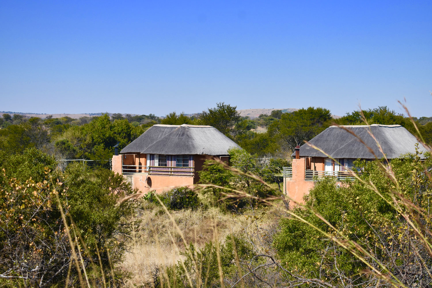 Apex Travel Club - ATC - Wildthingz Lodge