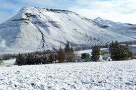 Apex Travel Club - ATC - Kinmel Guest Farm and Lodge