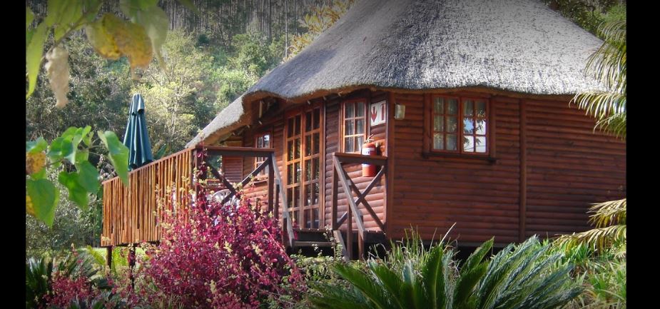 Apex Travel Club - ATC - Bananien Lodge