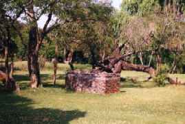 Apex Travel Club - ATC - Lodge Laske Nakke