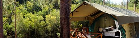 Apex Travel Club - ATC - Elgin Hills Tented Camp
