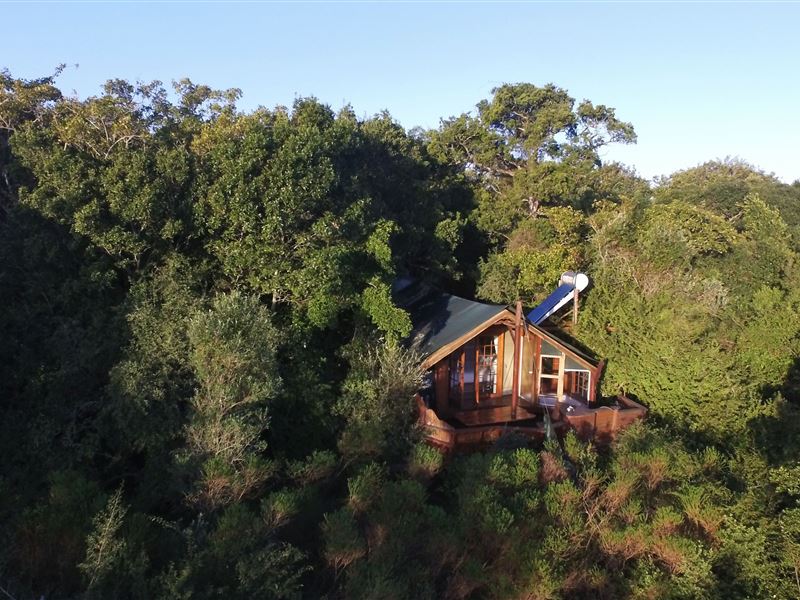 Apex Travel Club - ATC - Teniqua Treetops