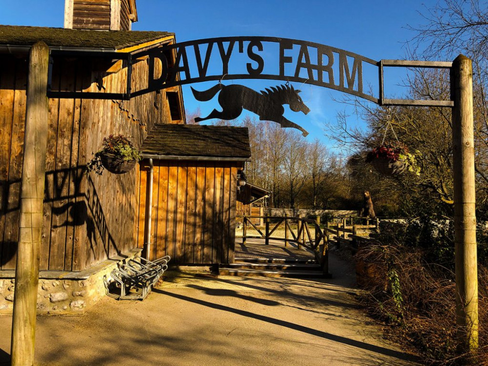 Apex Travel Club - ATC - Disney's Davy Crockett Ranch