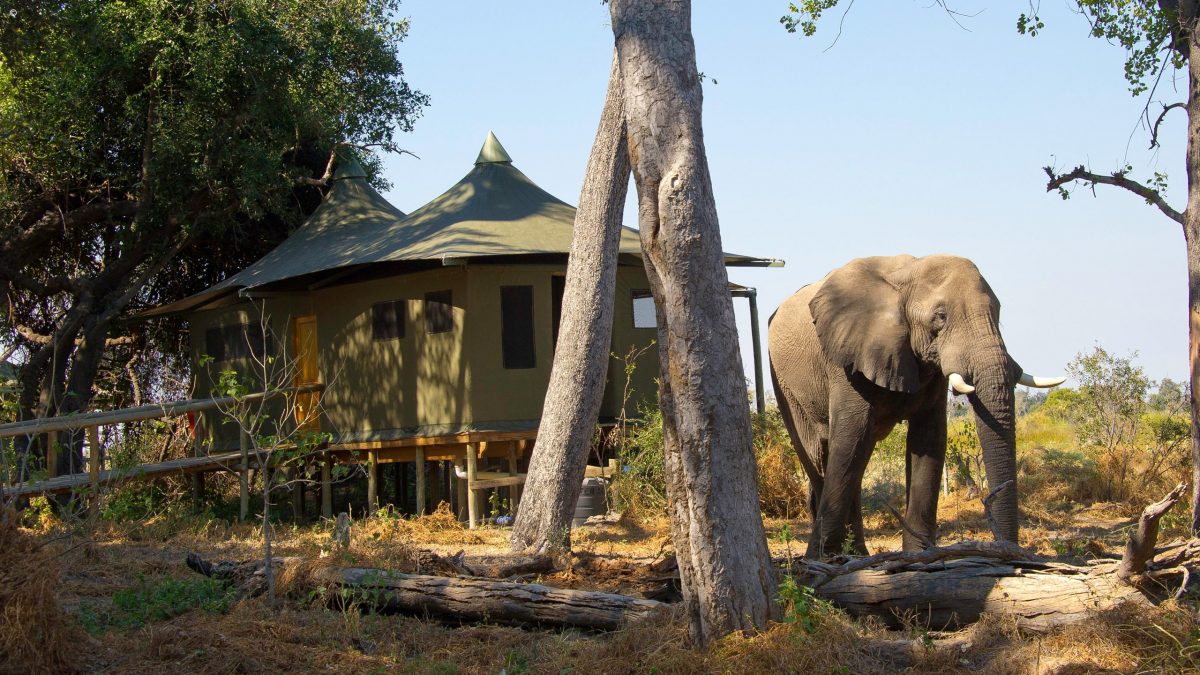 Apex Travel Club - ATC - Little Vumbura Camp