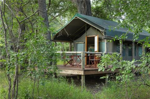 Apex Travel Club - ATC - Camp Moremi