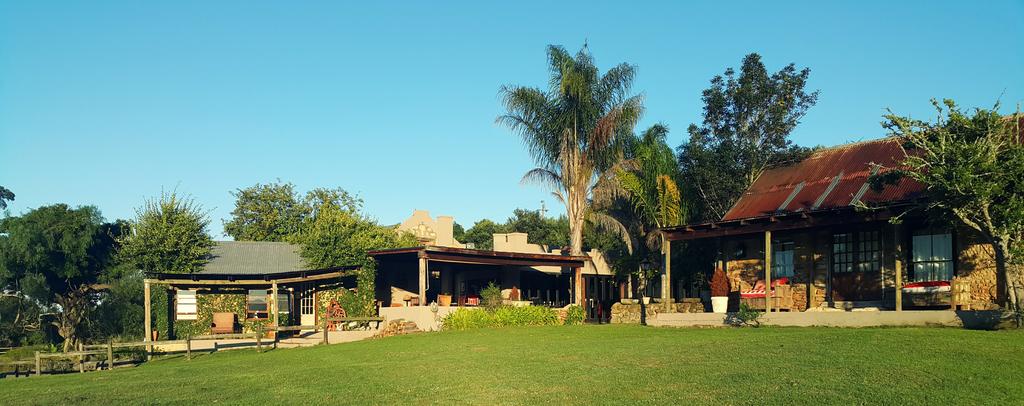 Apex Travel Club - ATC - Plettenberg Bay Game Reserve
