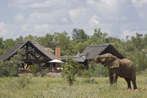 Apex Travel Club - ATC - Mateya Safari Lodge
