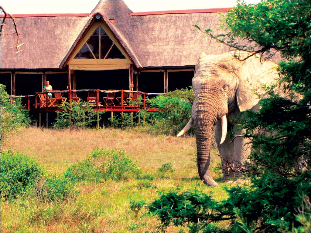 Apex Travel Club - ATC - Bush Lodge