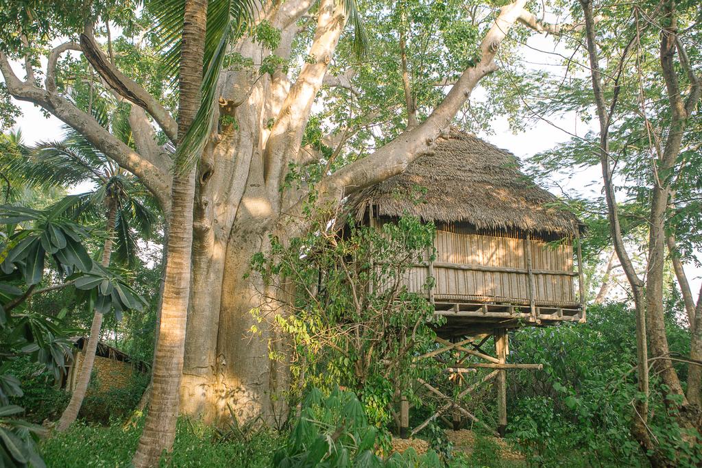 Apex Travel Club - ATC - Chole Mjini Lodge