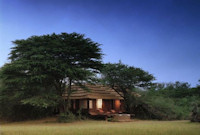 Apex Travel Club - ATC - Phinda Vlei Lodge