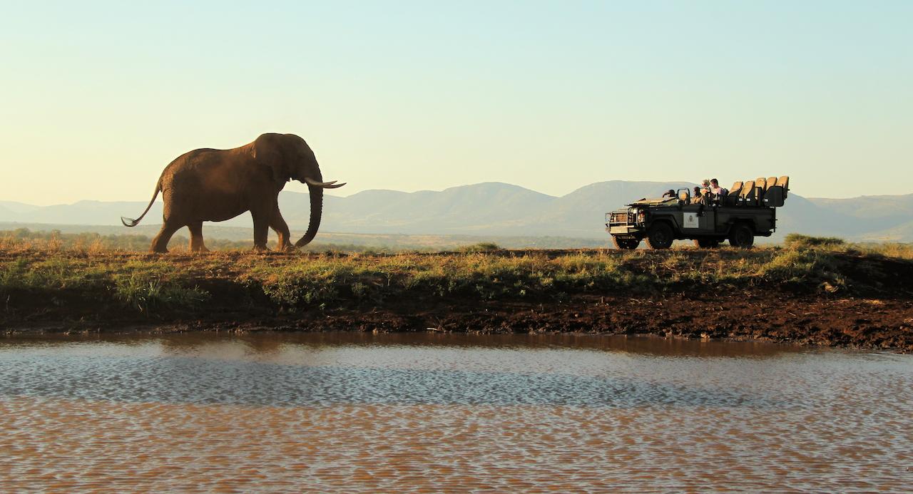 Apex Travel Club - ATC - Thanda Private Game Reserve - Tented Lodge