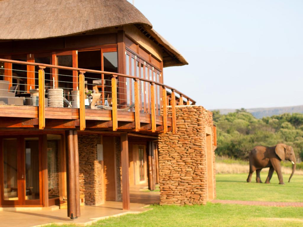 Apex Travel Club - ATC - Askari Game Lodge & Spa