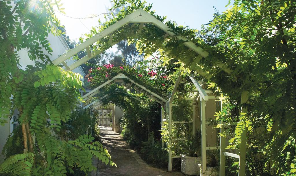 Apex Travel Club - ATC - The Last Word Franschhoek