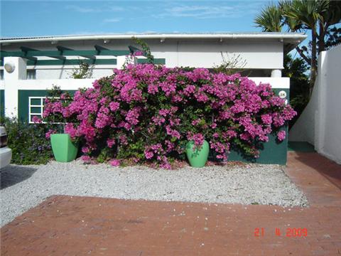 Apex Travel Club - ATC - Rooftops Self Catering Apartments