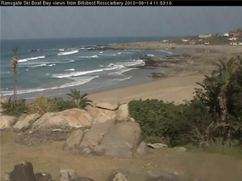 Apex Travel Club - ATC - Bills Best - Low Tide