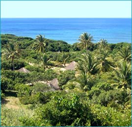 Apex Travel Club - ATC - Sylvia Shoal Lodge