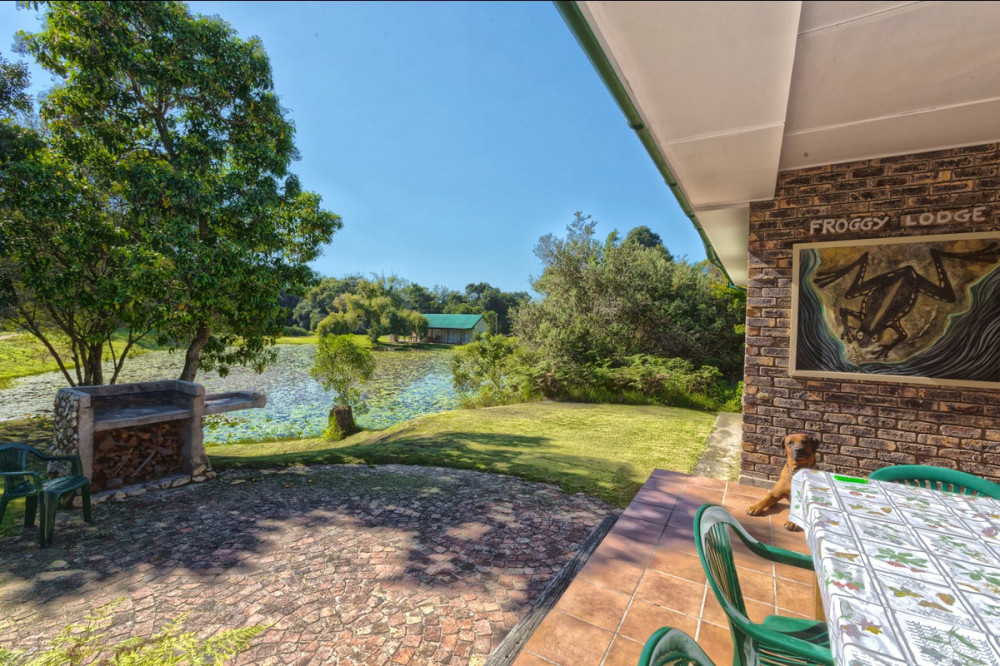 Apex Travel Club - ATC - Beyond The Moon - Froggy Lodge