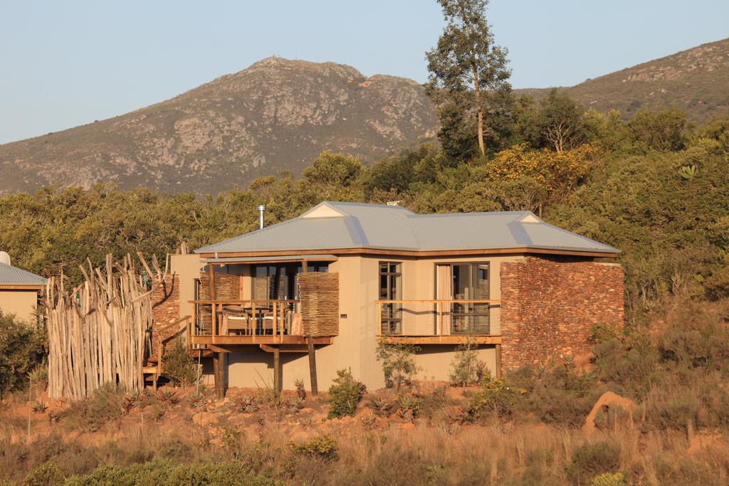Apex Travel Club - ATC - Garden Route Game Lodge