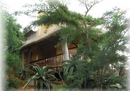 Apex Travel Club - ATC - Leopards And Louries Bush Lodge And Safaris