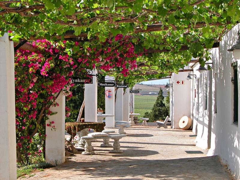Apex Travel Club - ATC - Melkboomsdrift Guest Lodge & Conference Centre