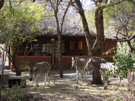 Apex Travel Club - ATC - Marloth Park