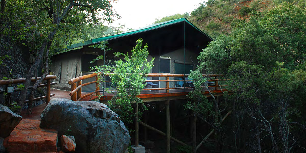 Apex Travel Club - ATC - Black Leopard Camp