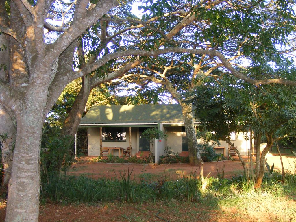 Apex Travel Club - ATC - Sand Forest Lodge