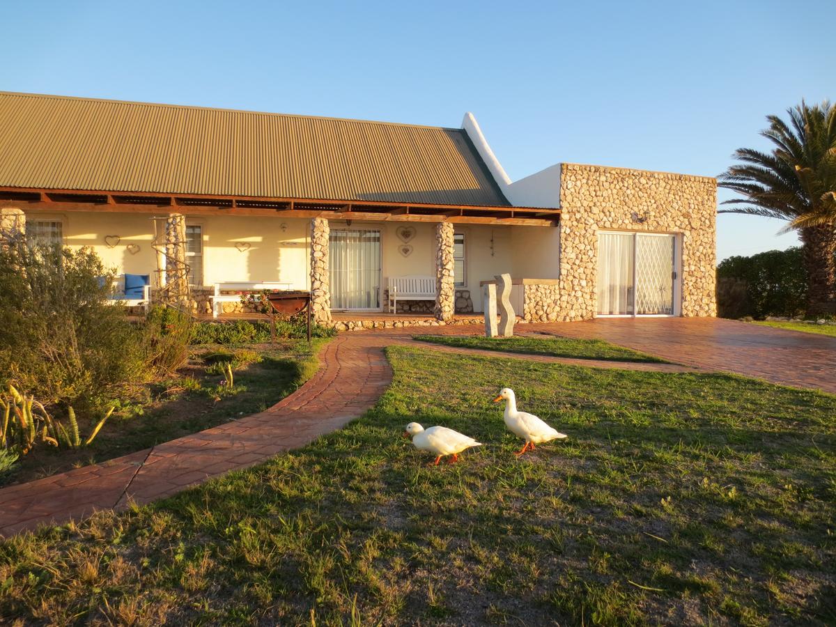 Apex Travel Club - ATC - Masada Guest House