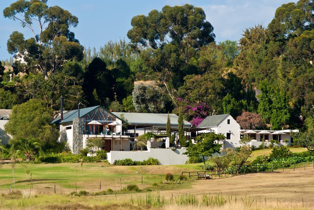 Apex Travel Club - ATC - Diemersfontein Wine Estate