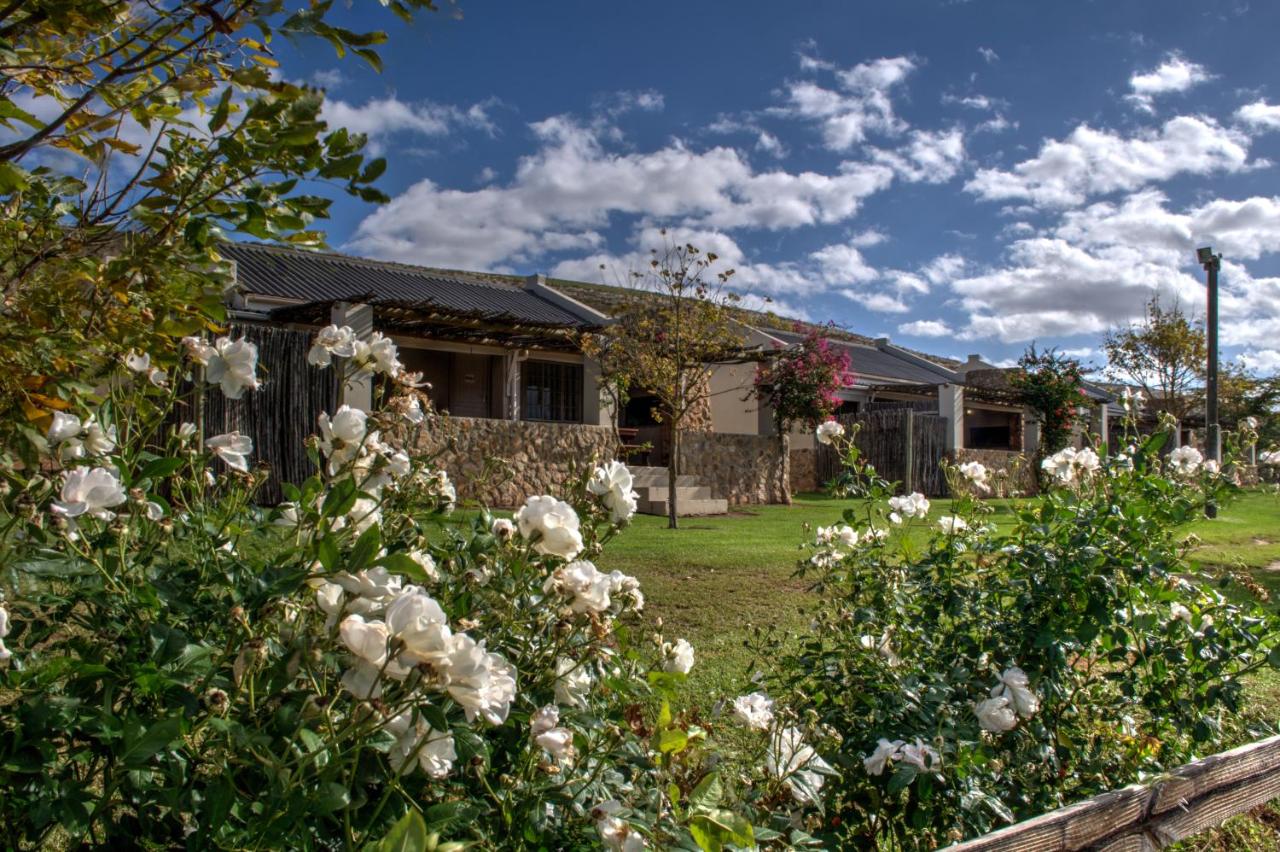 Apex Travel Club - ATC - Oewerzicht Luxury Tented River Lodge