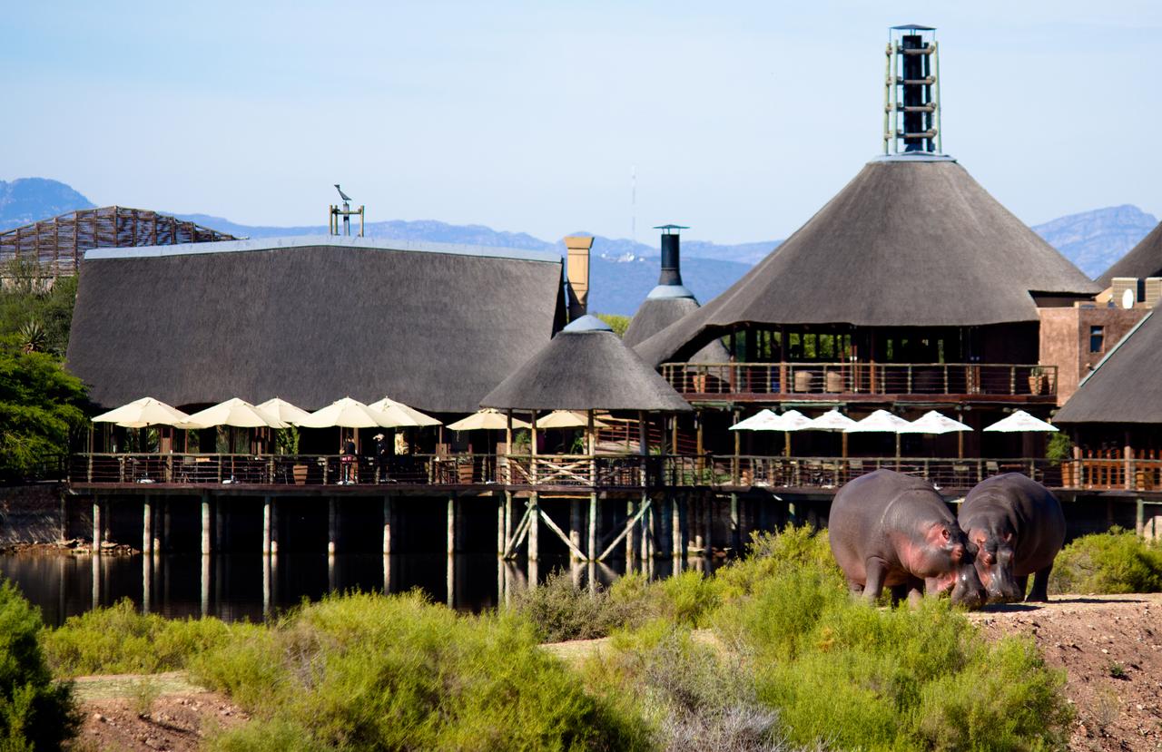 Apex Travel Club - ATC - Buffelsdrift Game Lodge