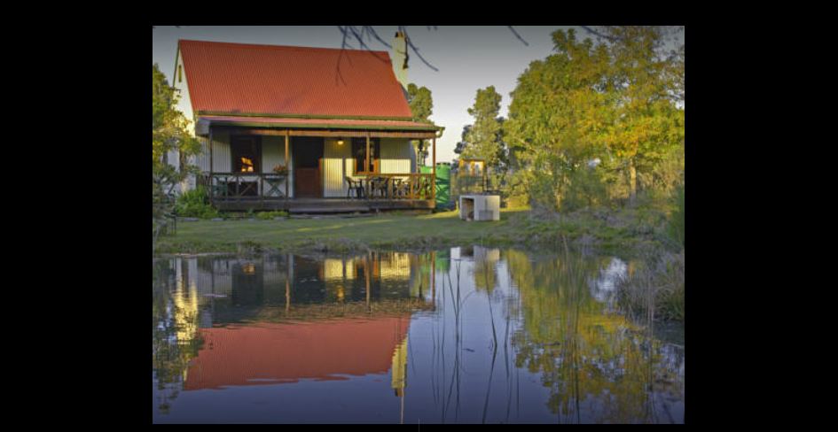 Apex Travel Club - ATC - Forest Edge Nature Lovers Retreat