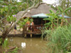 Apex Travel Club - ATC - Pongola Tropical