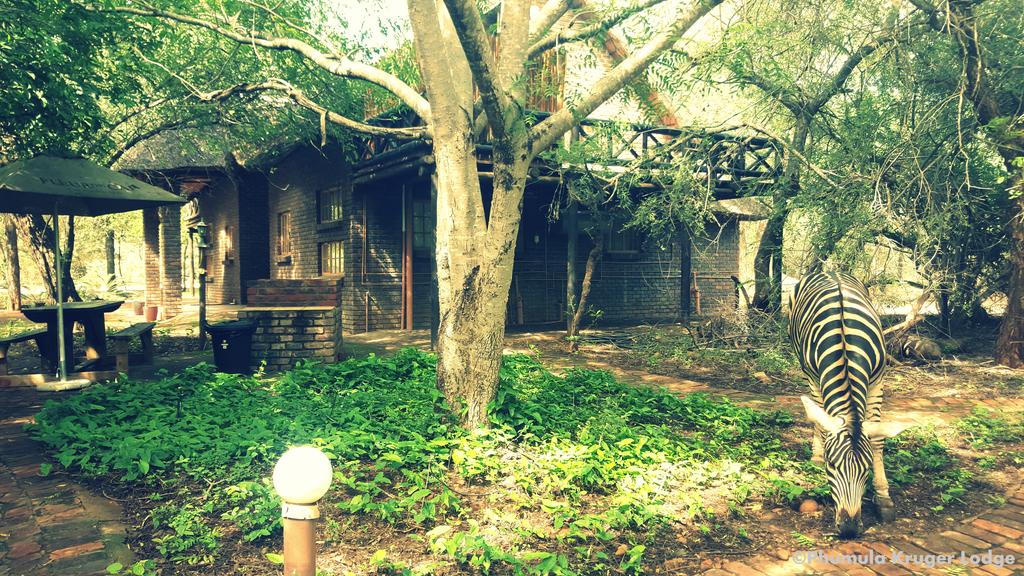 Apex Travel Club - ATC - Phumula Kruger Lodge And Safaris