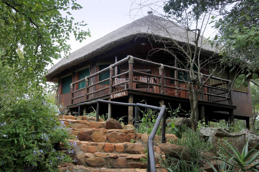 Apex Travel Club - ATC - Shayamoya Tiger Fishing & Game Lodge