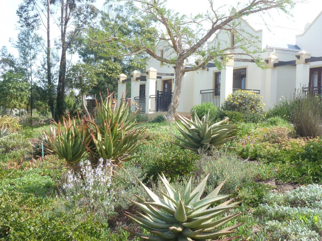Apex Travel Club - ATC - Langeberg Guest Lodge