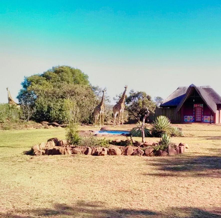 Apex Travel Club - ATC - Thaba Pitsi Nature Reserve - The Eco Lodge