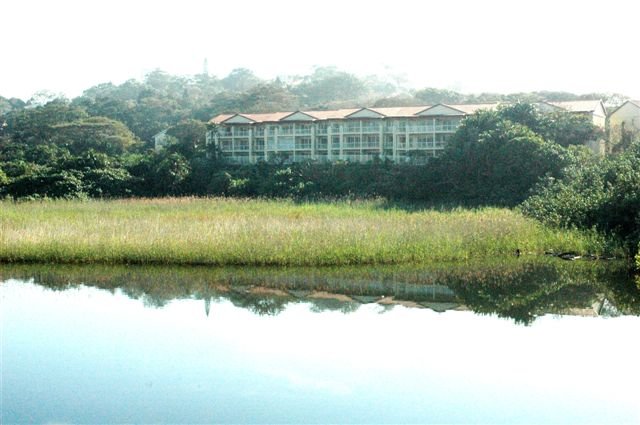 Apex Travel Club - ATC - Kingfisher