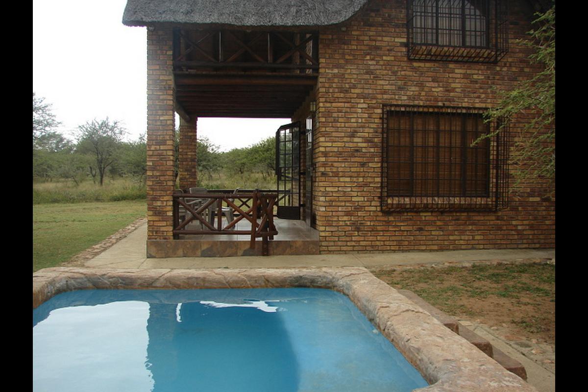 Apex Travel Club - ATC - Savanna Pride