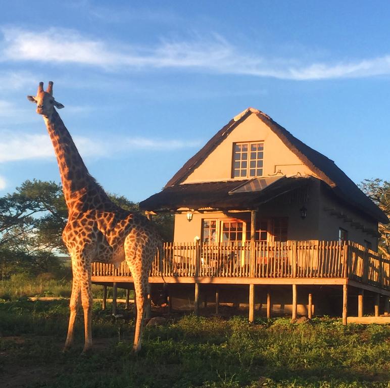 Apex Travel Club - ATC - Ukuthula Lodge