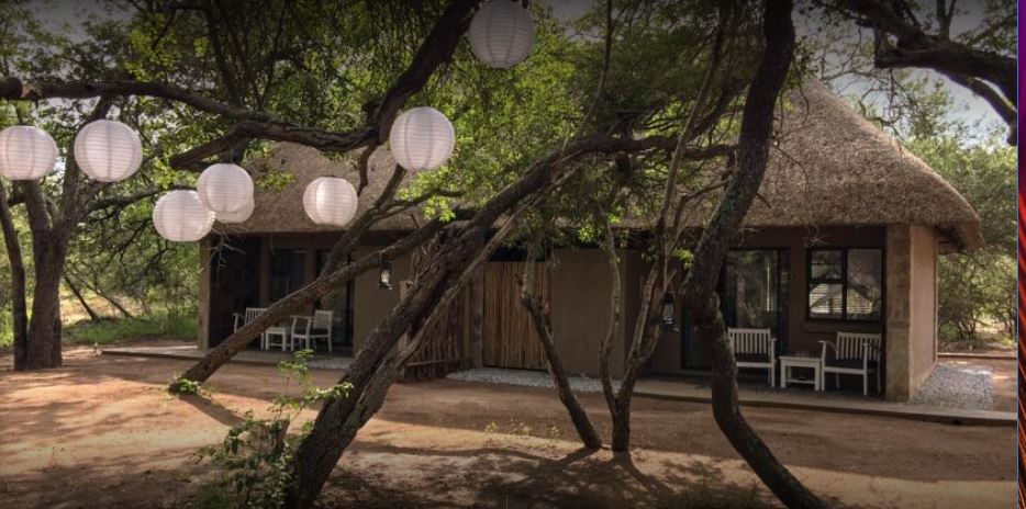 Apex Travel Club - ATC - Bushbaby River Lodge