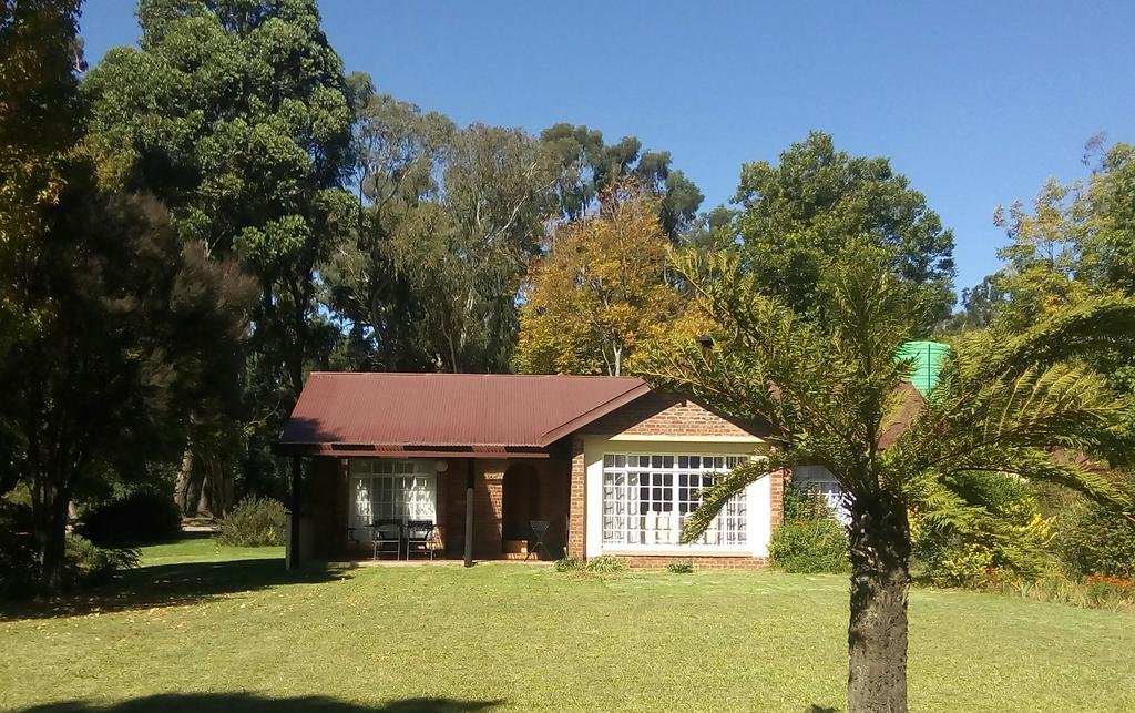 Apex Travel Club - ATC - Kamberg Mountain Shadows
