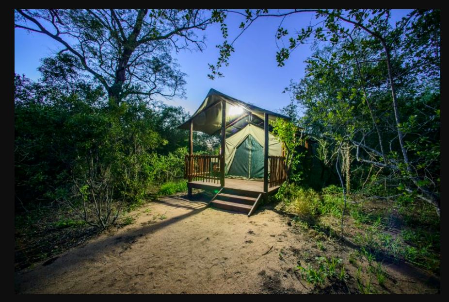 Apex Travel Club - ATC - Shalati Safari Camp