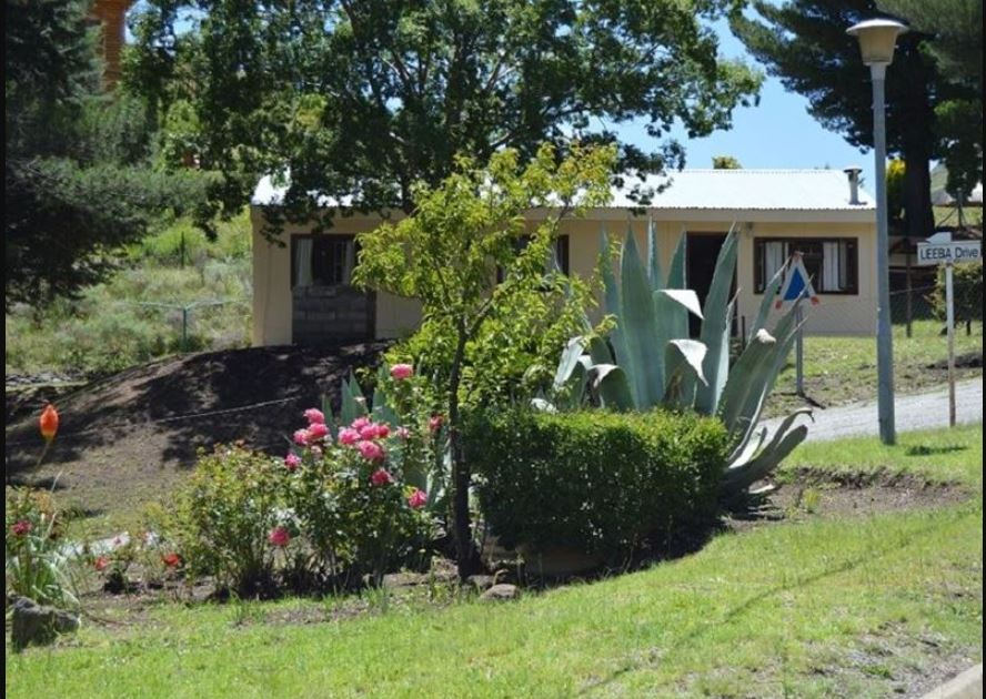 Apex Travel Club - ATC - Motebong Lodge
