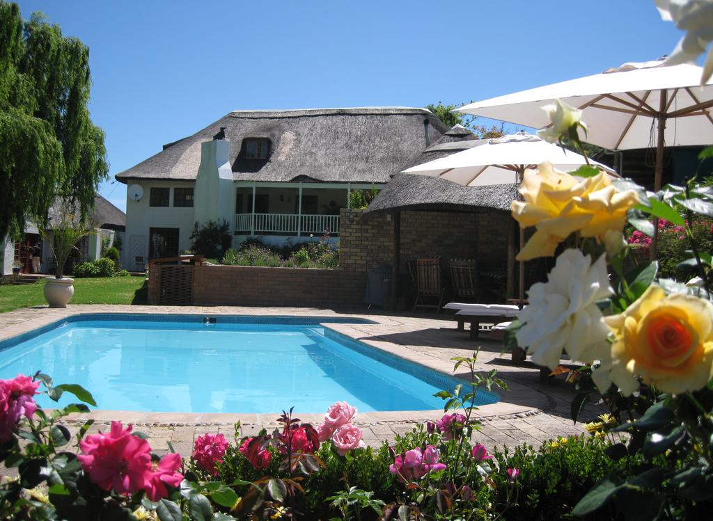 Apex Travel Club - ATC - Acara Guest House