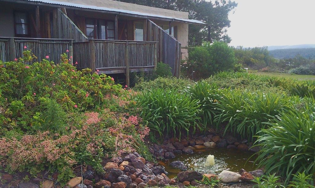 Apex Travel Club - ATC - Protea Wilds Retreat
