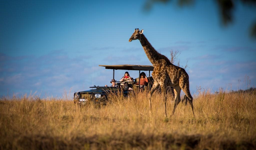 Apex Travel Club - ATC - Matingwe Lodge